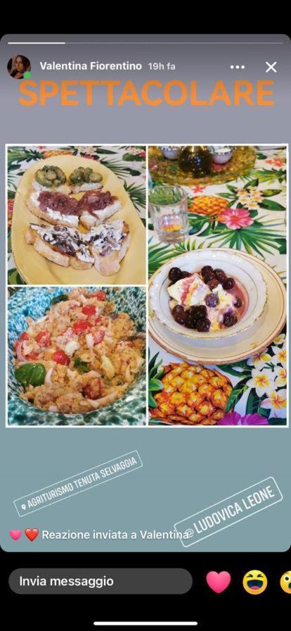 Alloggio per agriturismo Tenuta Selvaggia